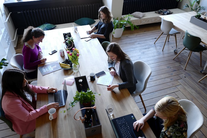 Team reviewing process roadmap